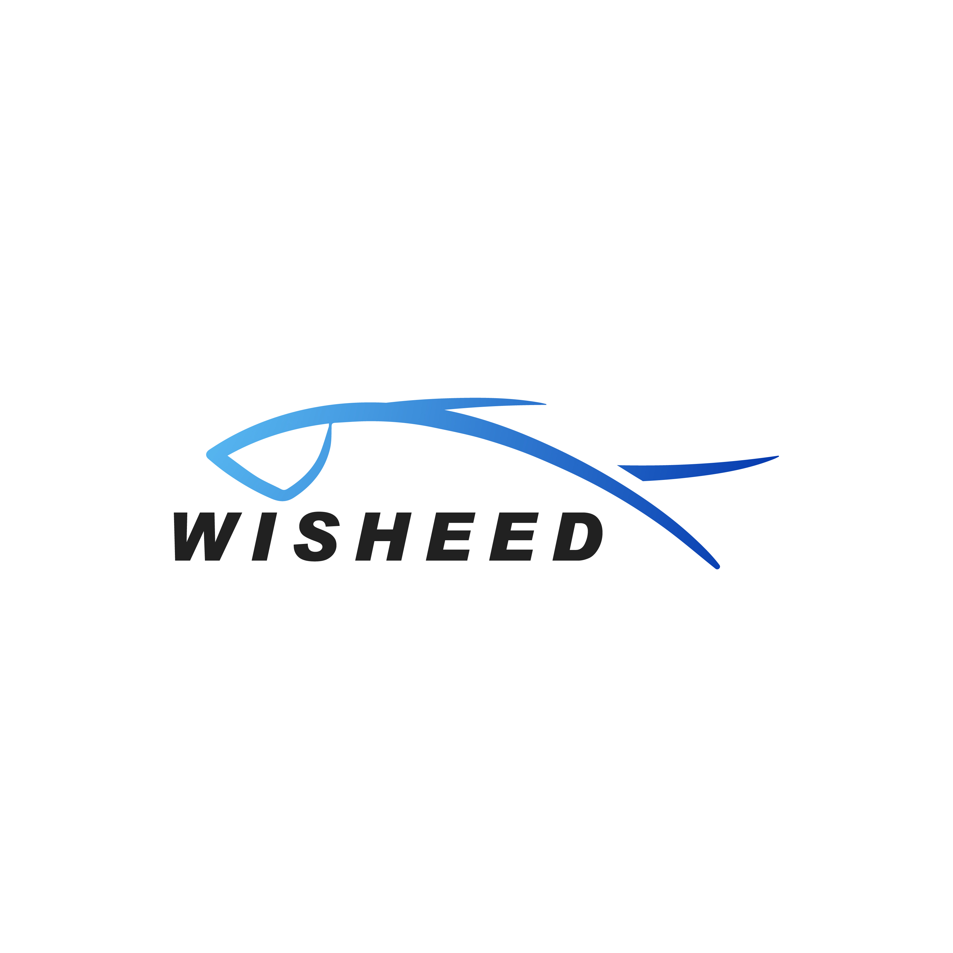 Guangdong Wisheed Technology Co., Ltd.