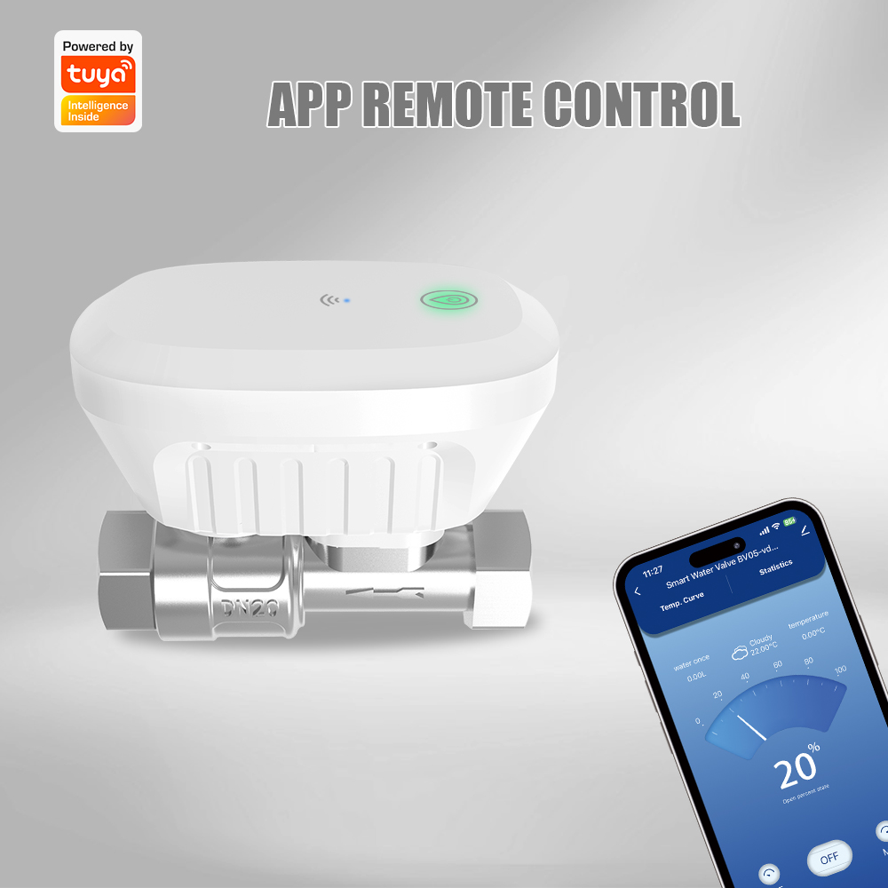 Smart water valve