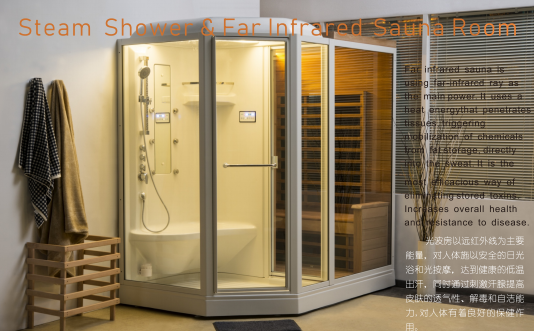 Steam shower and infrared sauna room