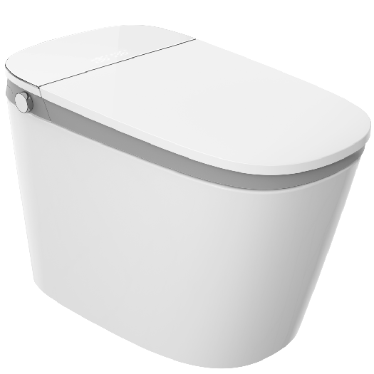 HSJAA Smart Toilet S73