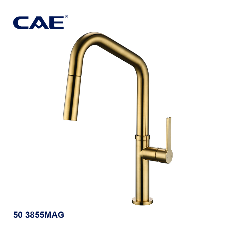 CAE Single-lever pull-out kitchen faucet 50 3855C