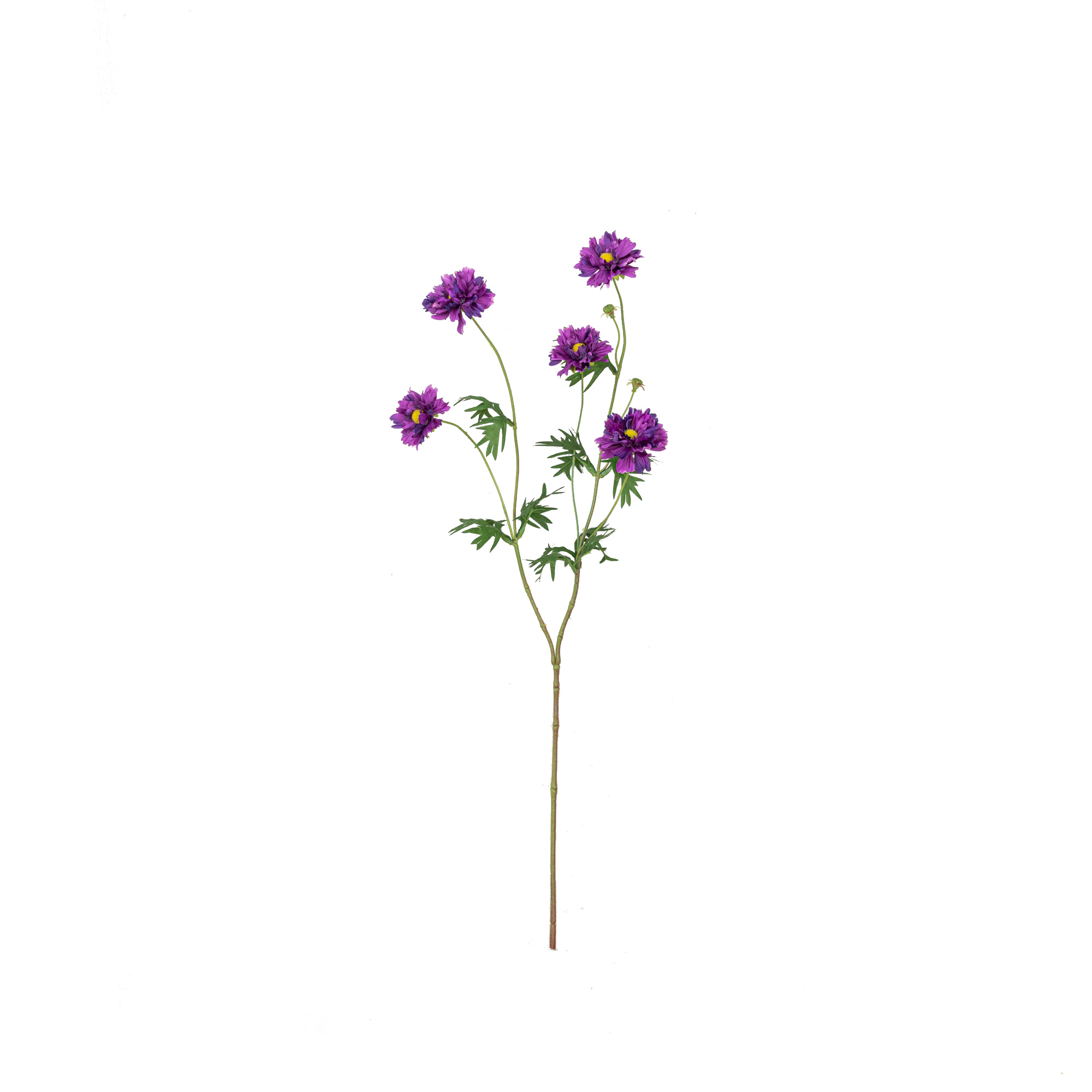 ZhongShan TongYi Craft co.,Ltd – portarretrato 3