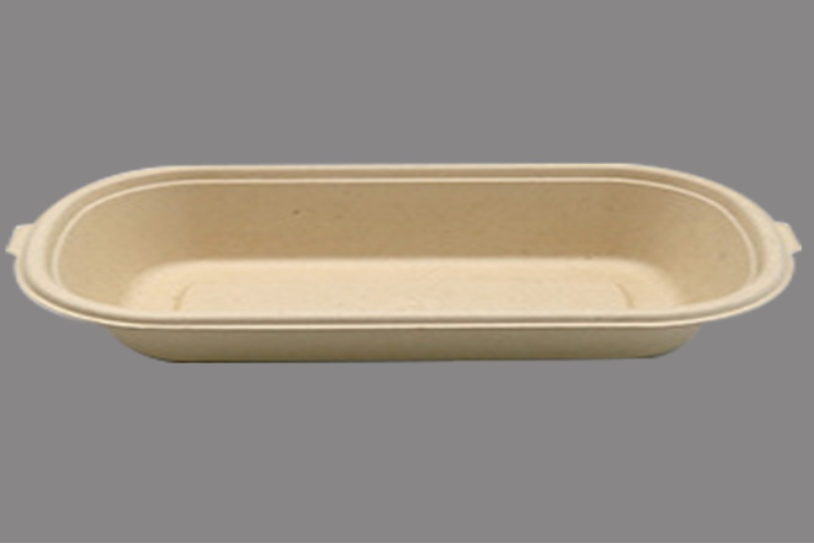 Jiangsu Regreen New Material Technology Co., Ltd. – taza de café 3