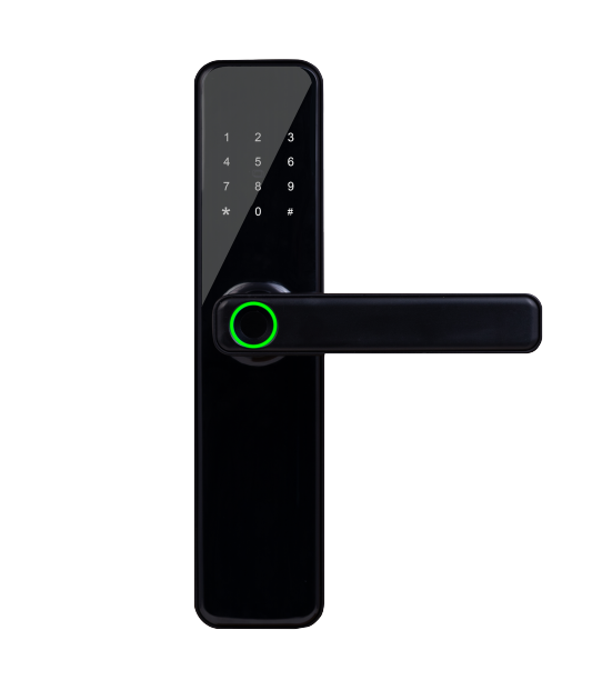 Digital Lock-F1
