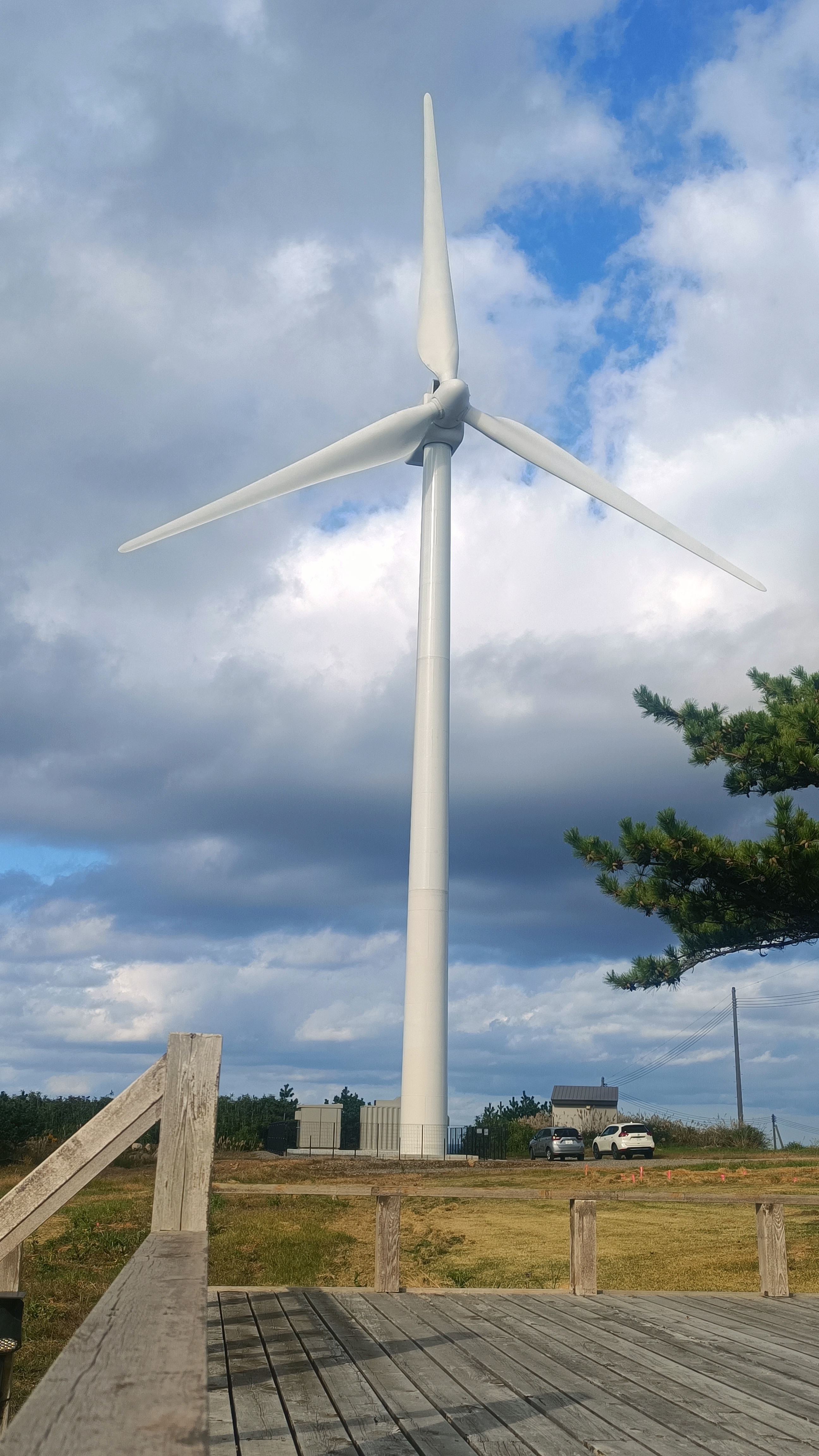 JENMOUR NEW ENERGY CO., LTD – lámpara de escritorio 3