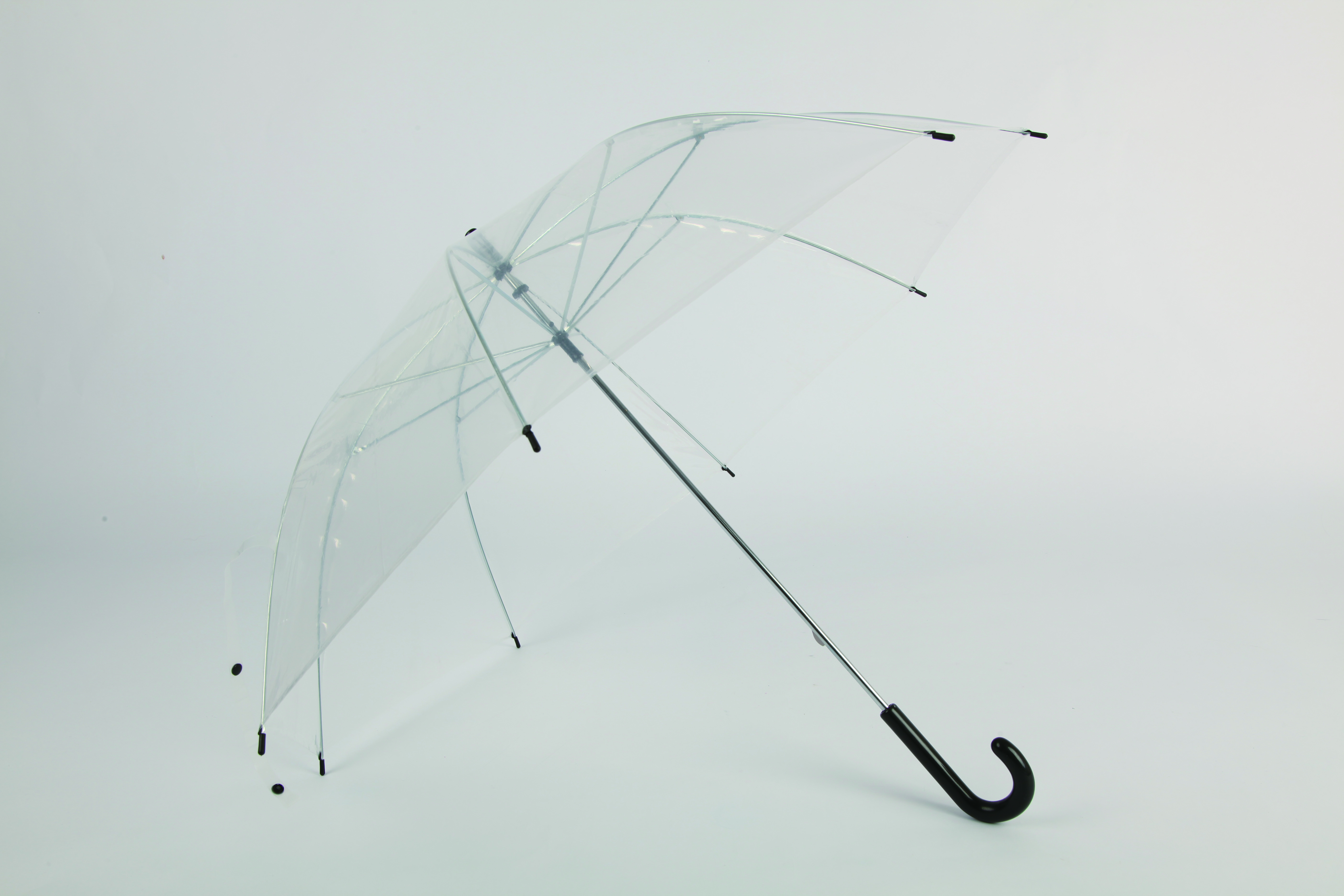 Transparent umbrella