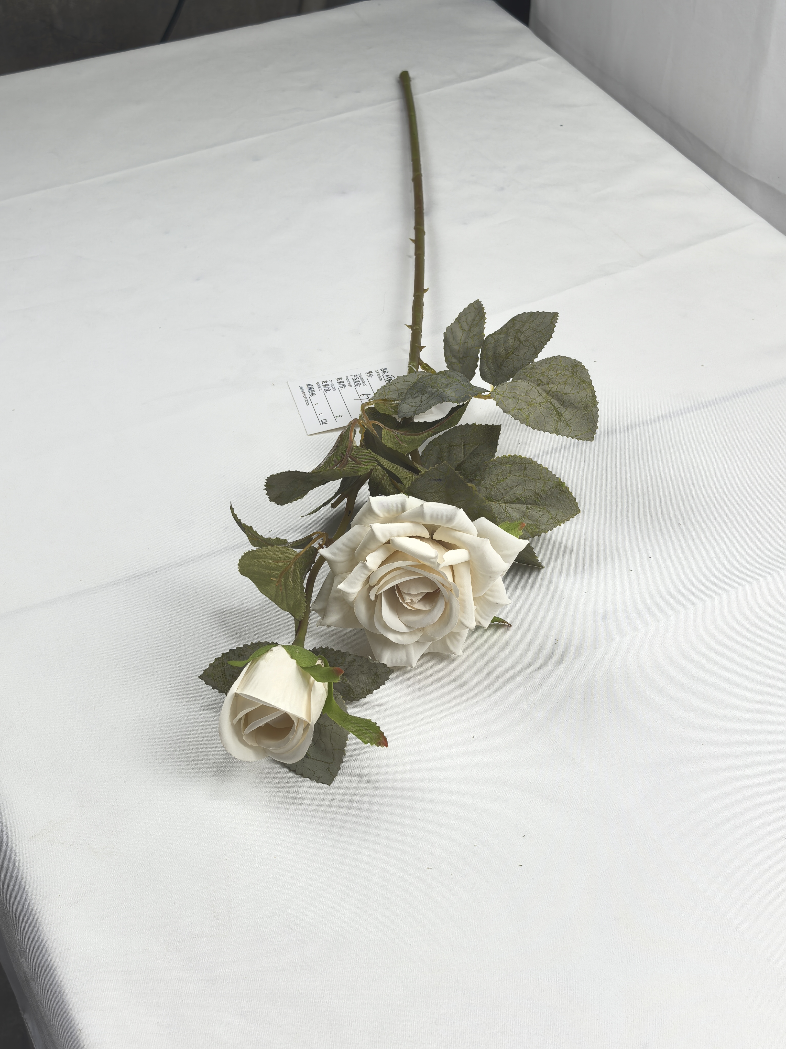 European Autumn Rose