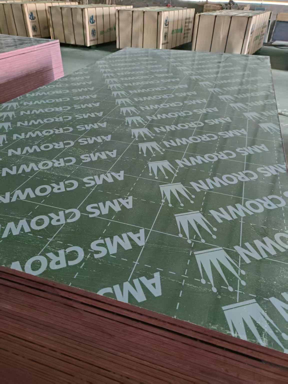 Pp Green Plywood