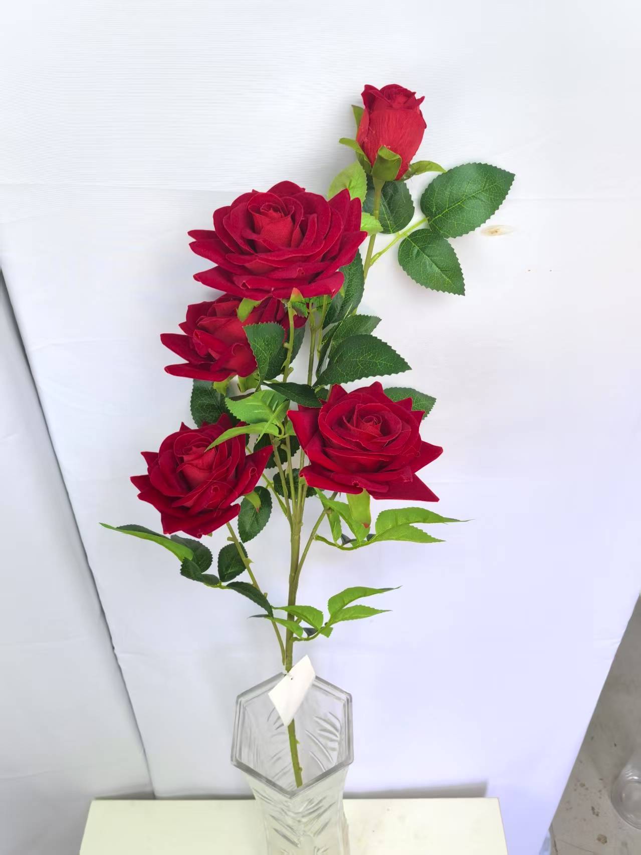 Flannel rose