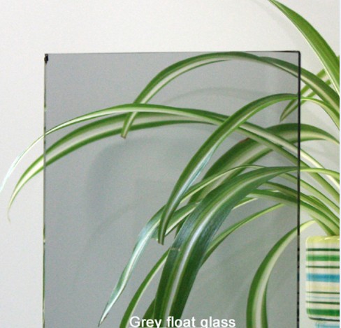 Euro grey float glass