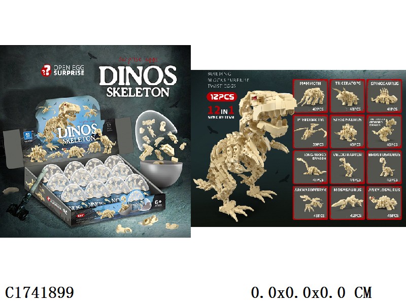 Dinosaur skeleton Building Block 12pcs/DISPLAY BOX