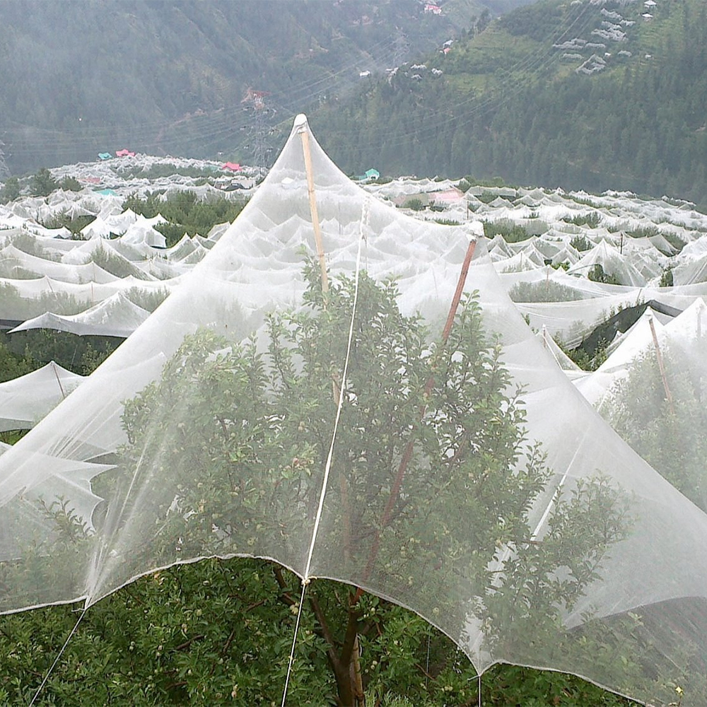 Hail net, hail netting, anti hail net, hail cloth, hail mesh, hail protection net