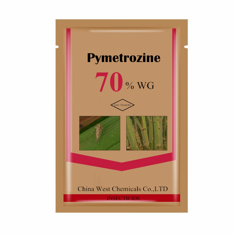 China West Chemicals Co.,Ltd – matriz de metal 2