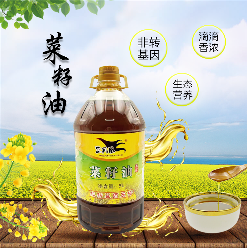 Mayang Blue Phoenix Agricultural Development Co., Ltd – bicicleta de montaña 3