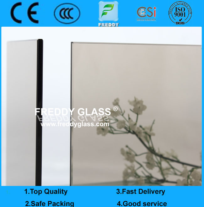 Euro bronze float glass