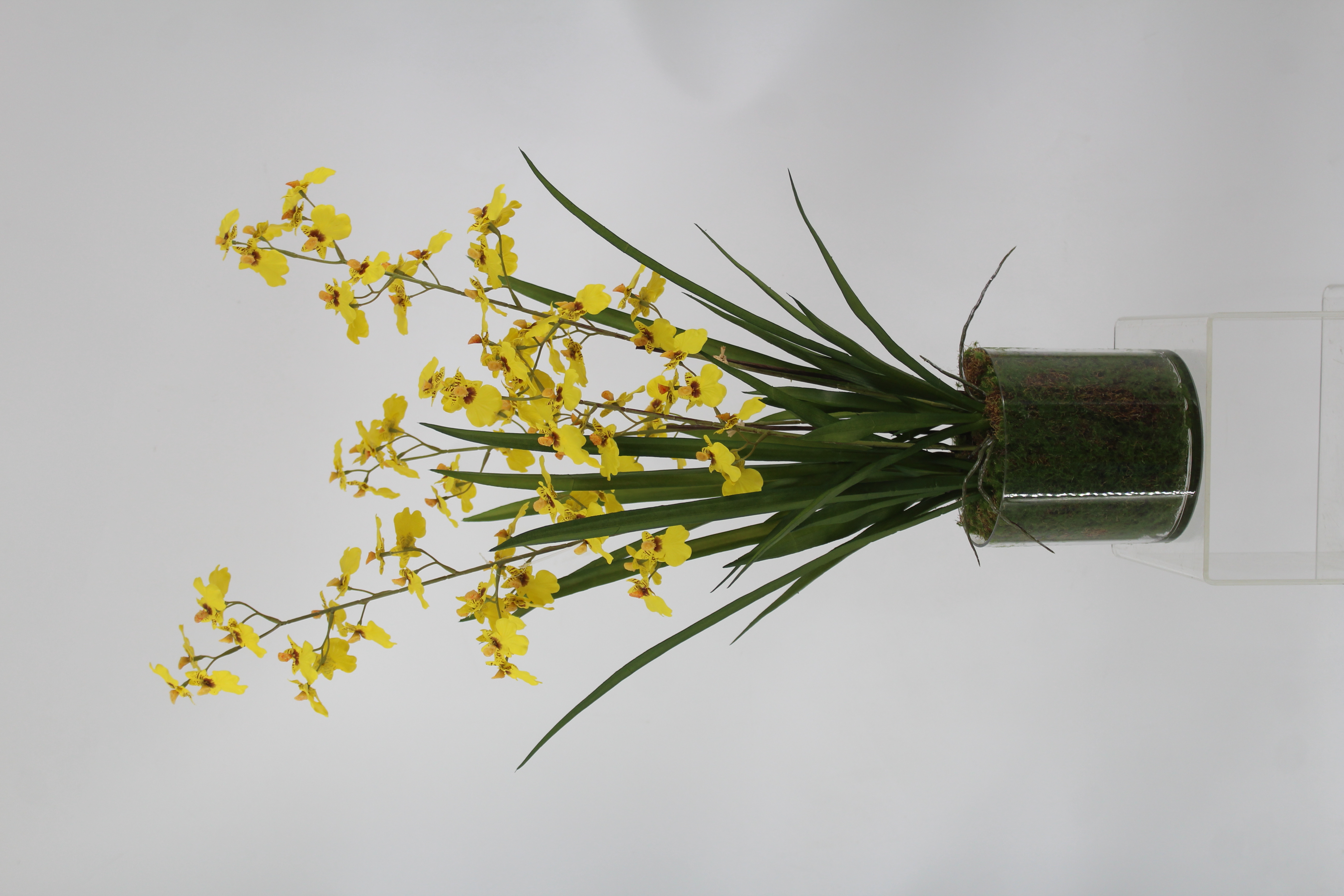 Huizhou Yigao Plastic Products Co.,Ltd – vela aromática 2
