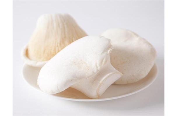 Shaanxi Tianjilong Biotech Co.,Ltd. – raqueta de tenis 2