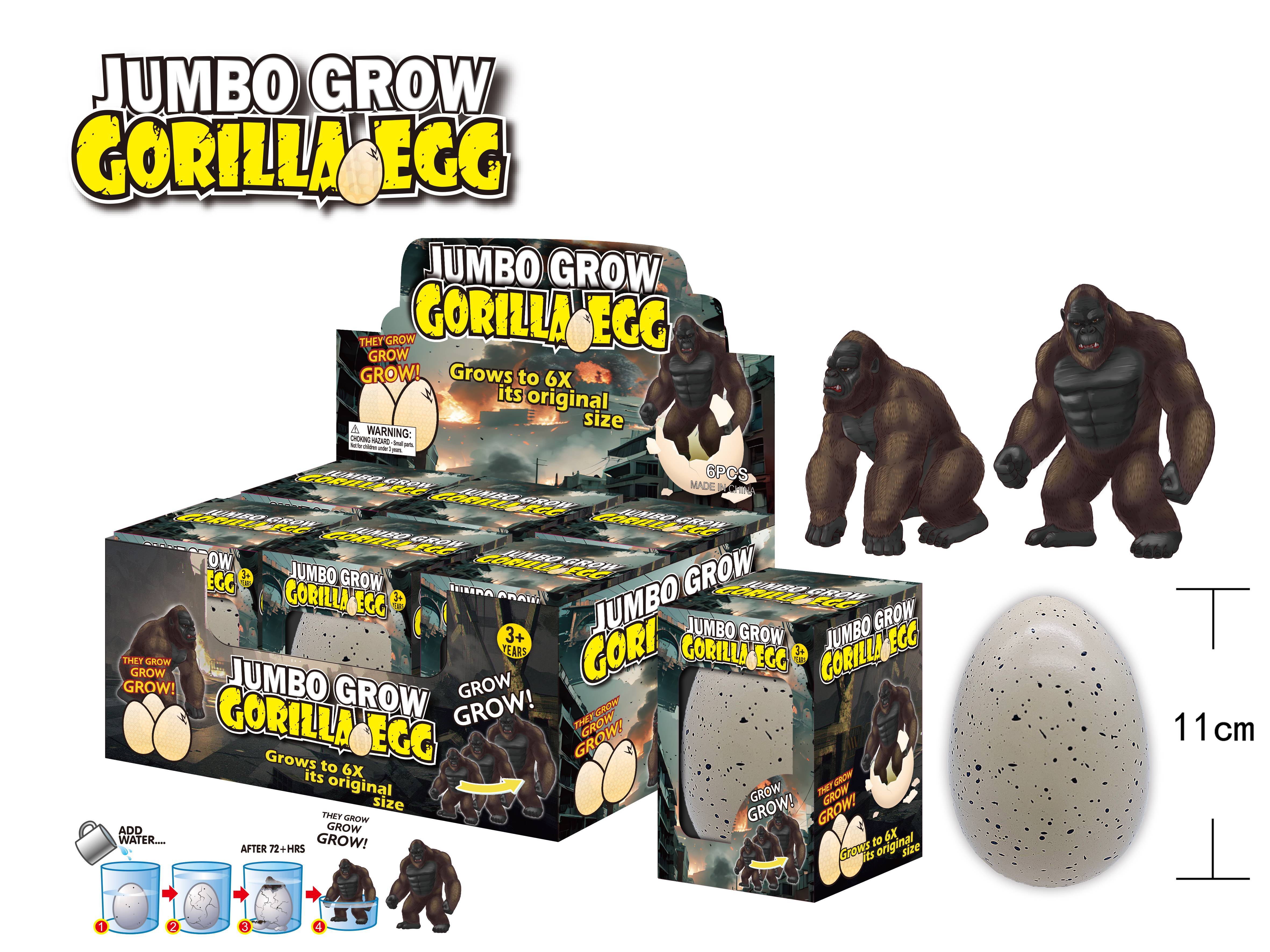 ED0060B