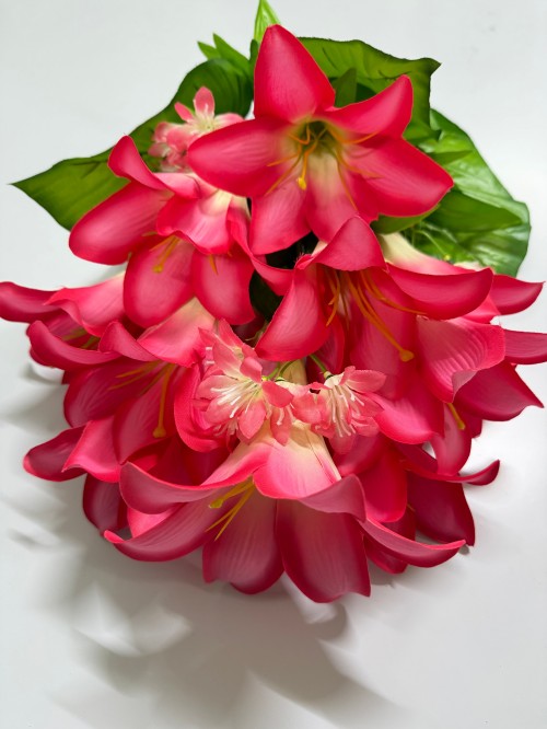 LILY
