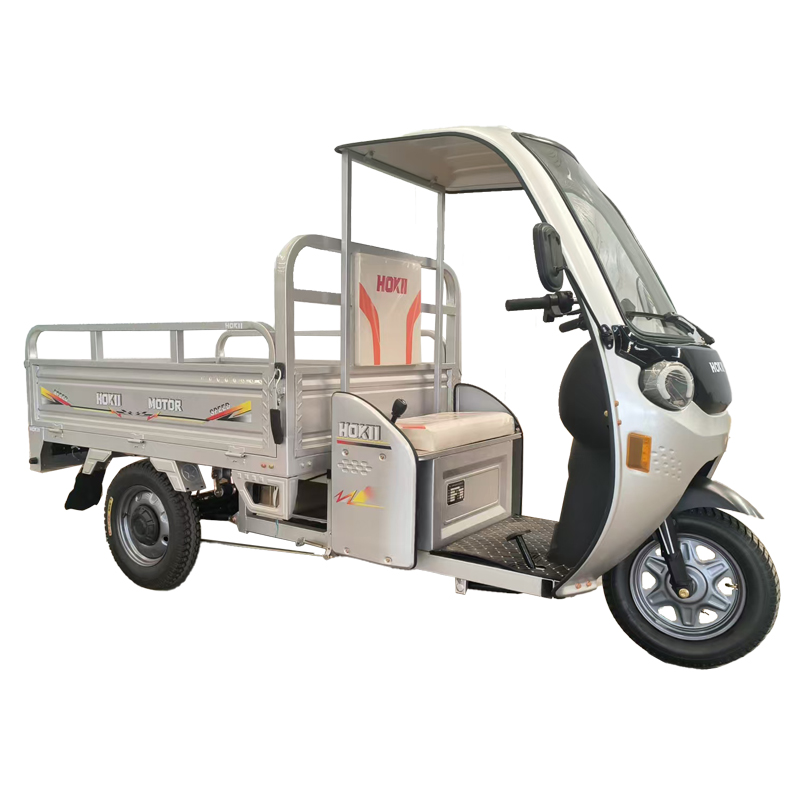 Electric cargo tricycle