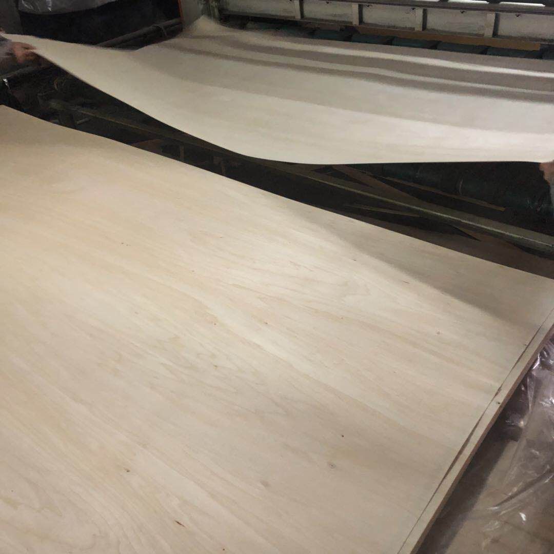 veneer