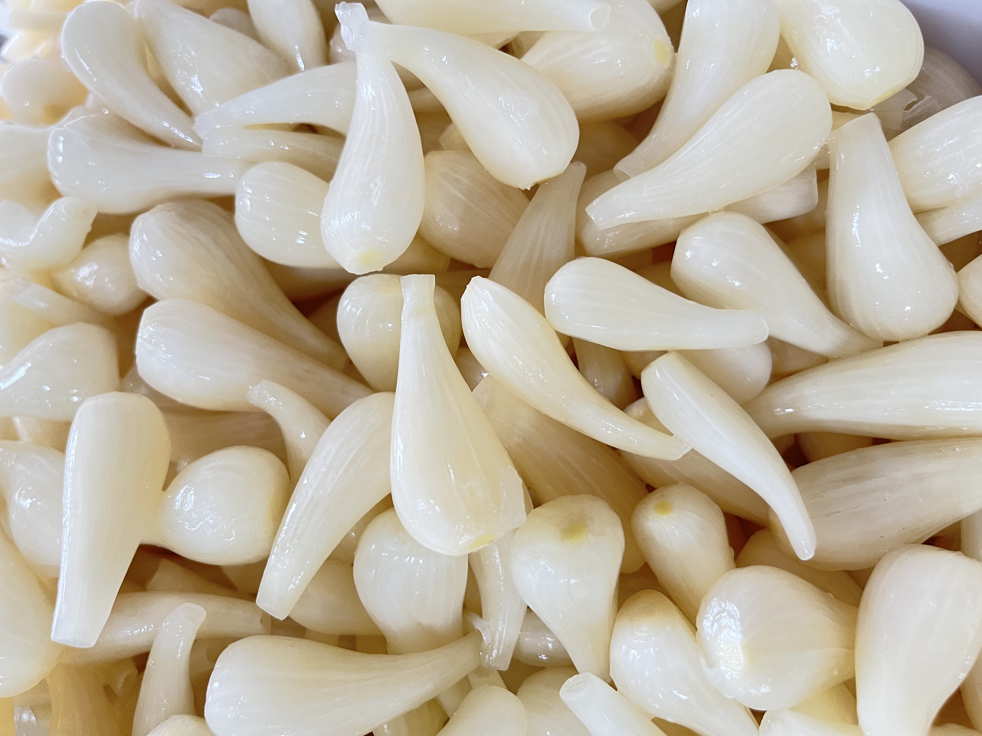 Salted Scallion/Leeks hot-sale in Japan and Korea