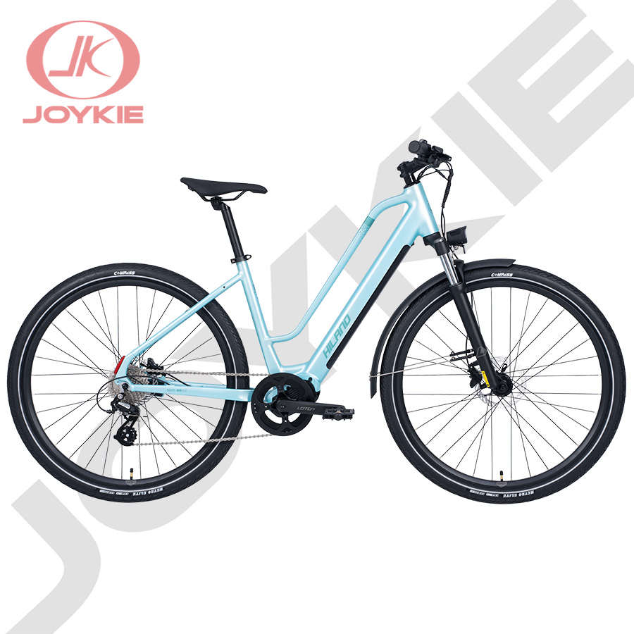 JOY KIE CORPORATION LIMITED – Mountain Terrain Bicycle(MTB) 2