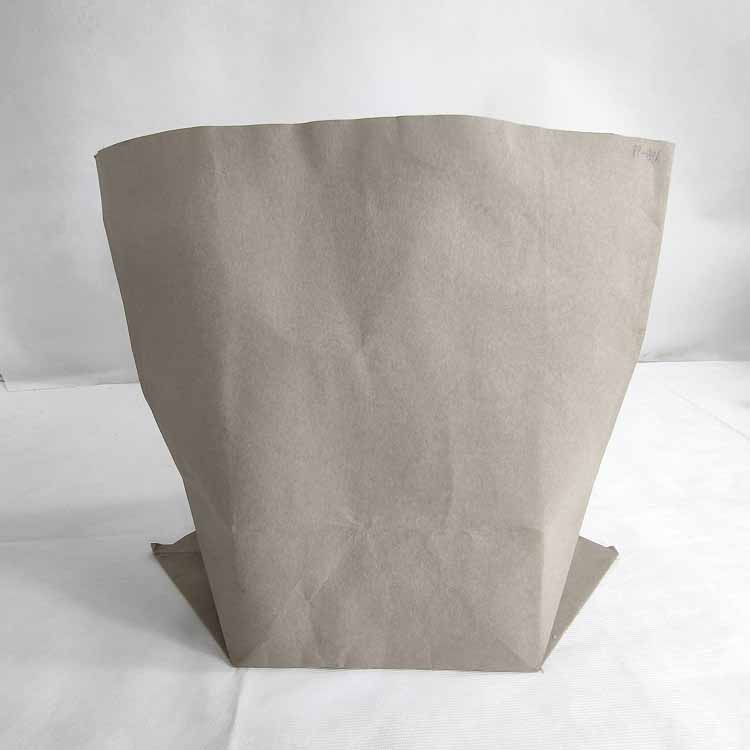 Kraft paper bag