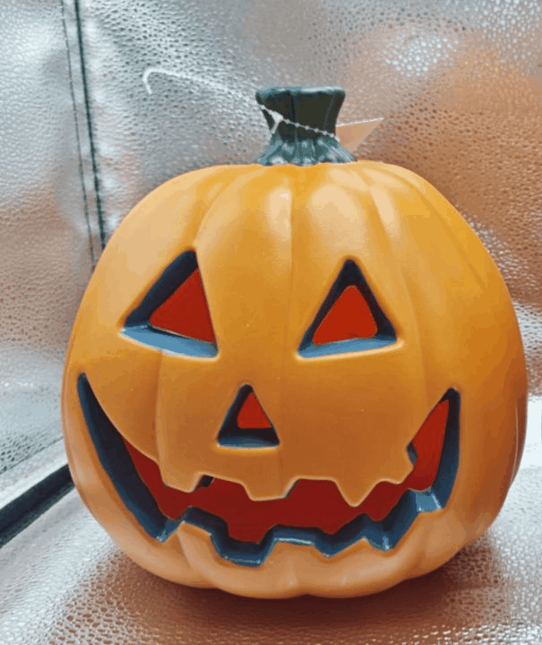 YIWU BOB TRADING CO.,LTD – child 2