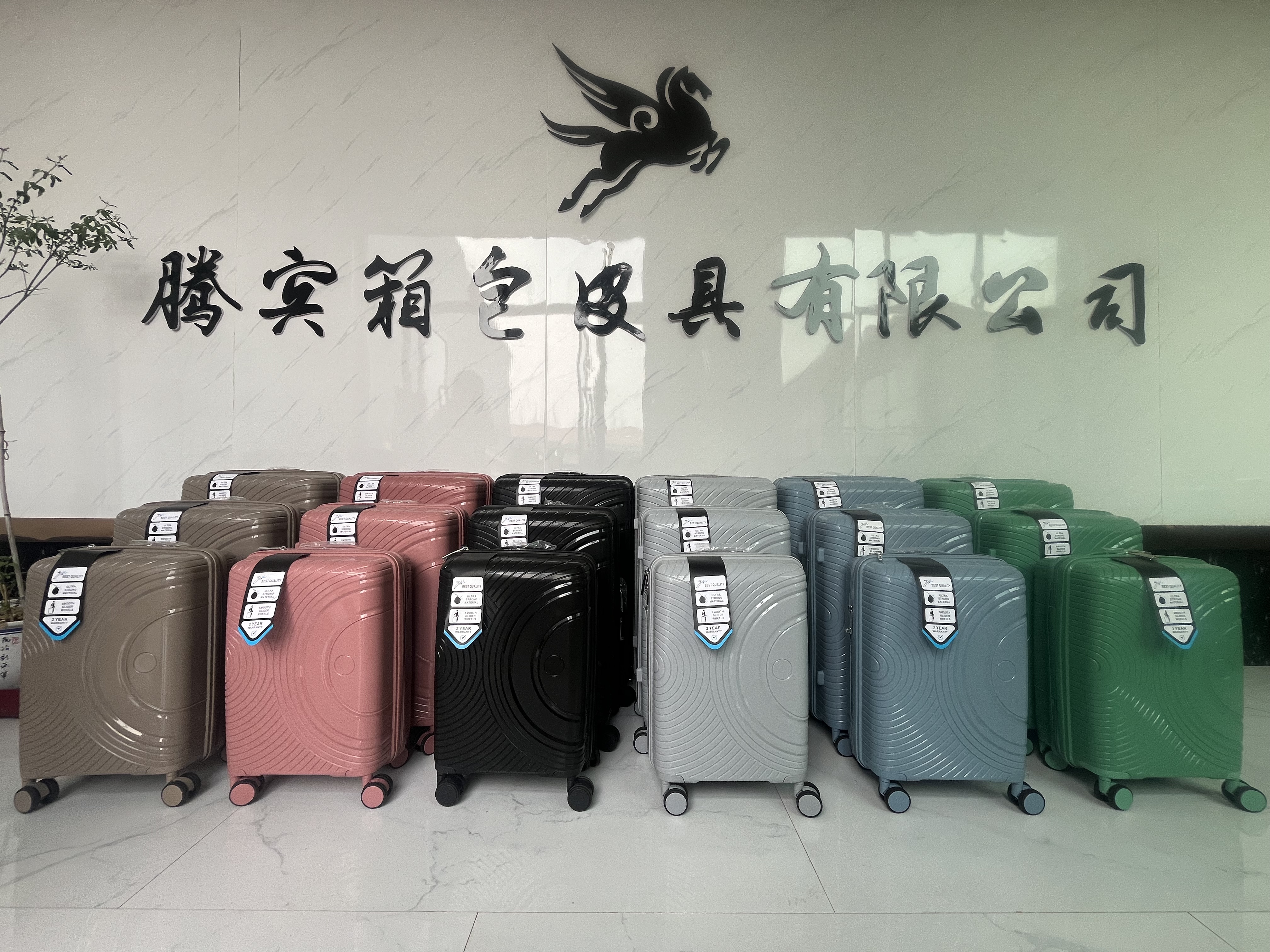 XIONGXIAN TENGBIN BAG AND LEATHER PRODUCTS CO., LTD. – bolso de cuero 1