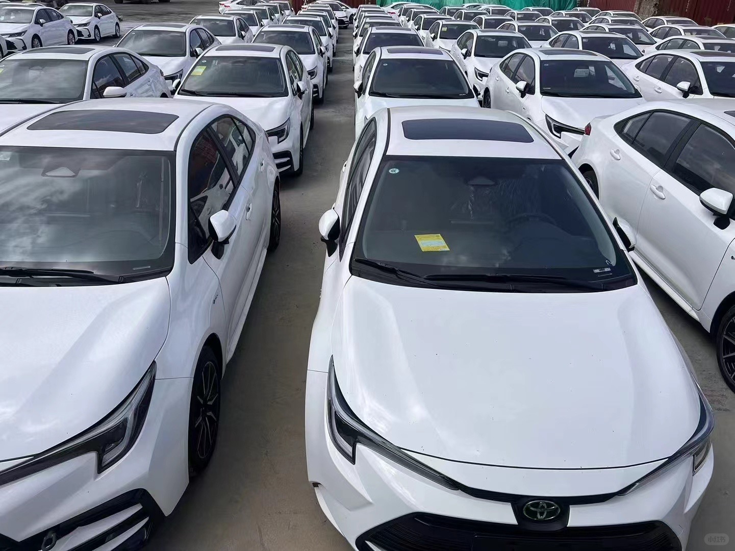 Zhangjiagang CarWH Import and Export Co., Ltd – cadena de bicicleta 1