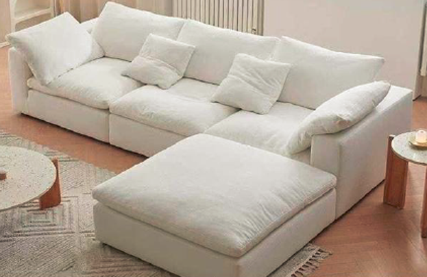 Living Room Sofa