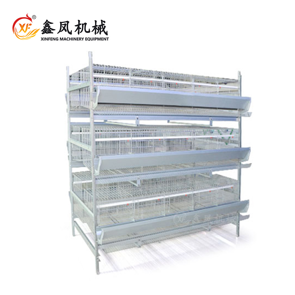 文档 图片 79/1000 实时翻译 划译 Xinfeng+Chicken Breeding Cage+Breeder Cage+Fully Automatic