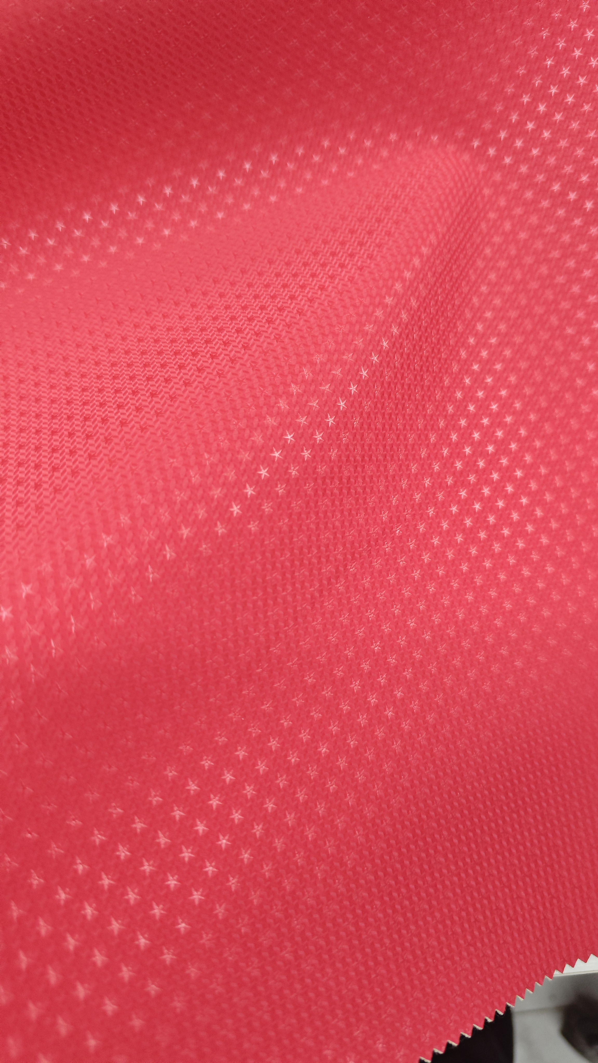 Garment leather