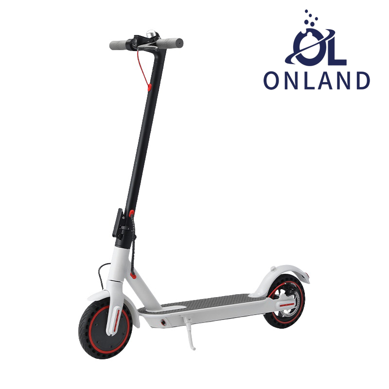 350WElectric Scooter for Adult