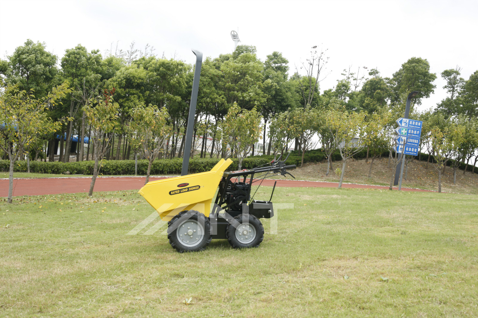 ANT 350 kg small wheeled dumper