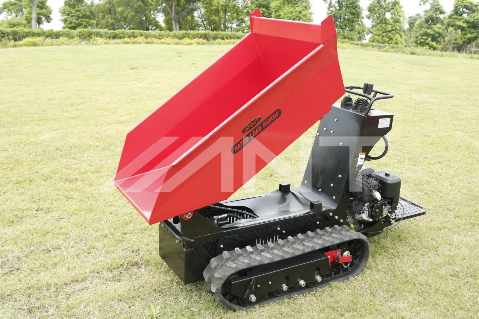 ANT 800 kg load capacity basic type mini dumper track type