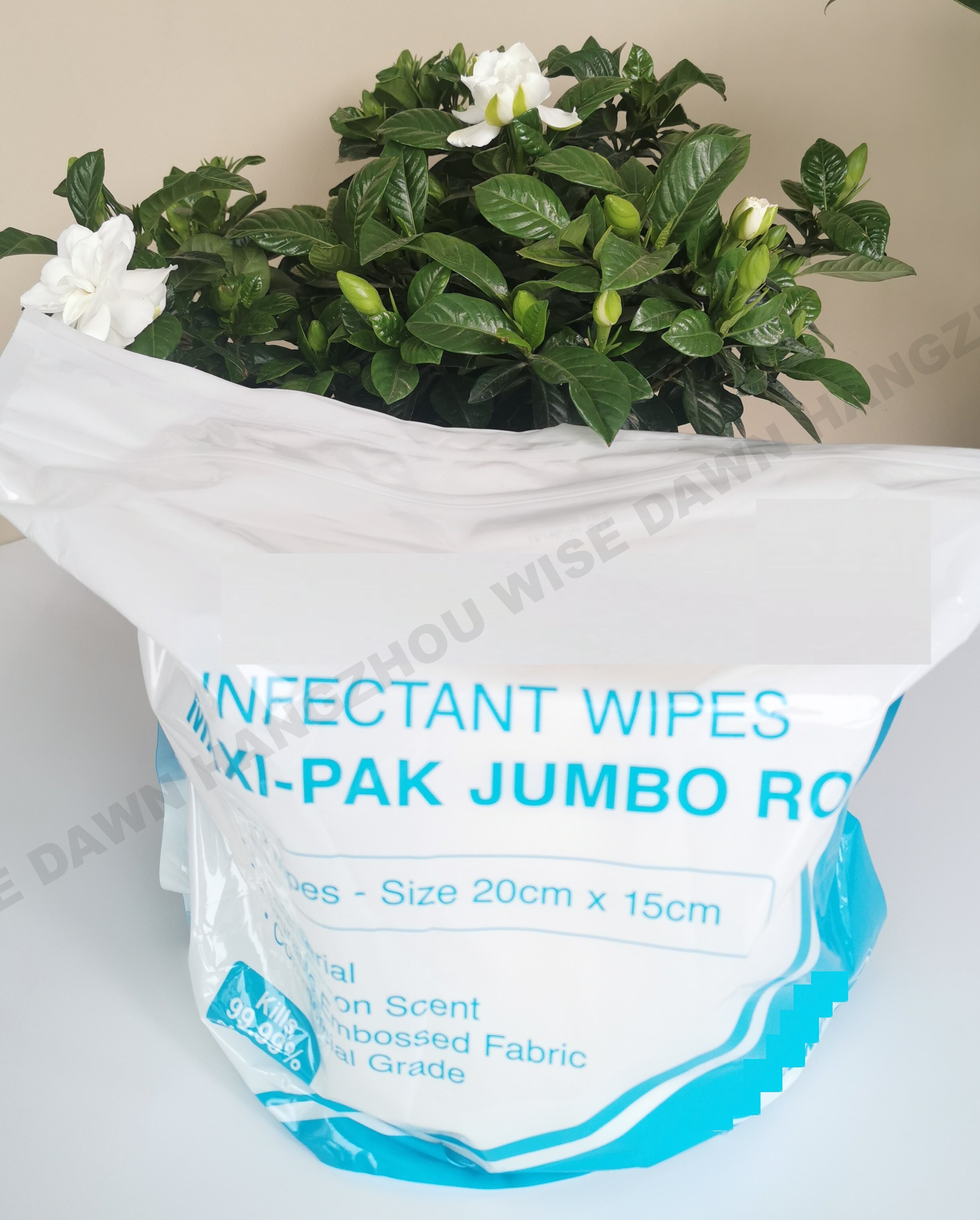 Gym & Fitness Cleaning Wipes, Antibacterial wet wipes