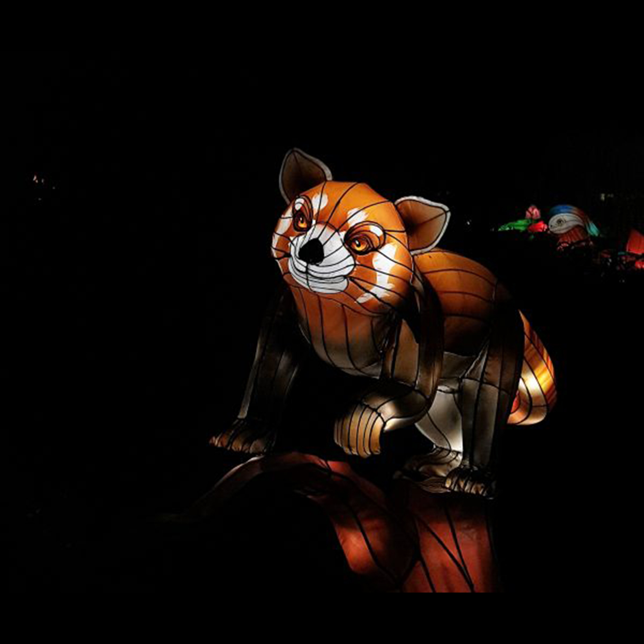 Zigong Huilongtang Culture&Art Co., Ltd – Product photos 3