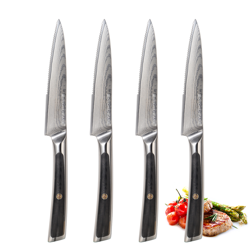 Hip-home Damascus steel kitchen knife professional g10 handle 4pcs steak knives set