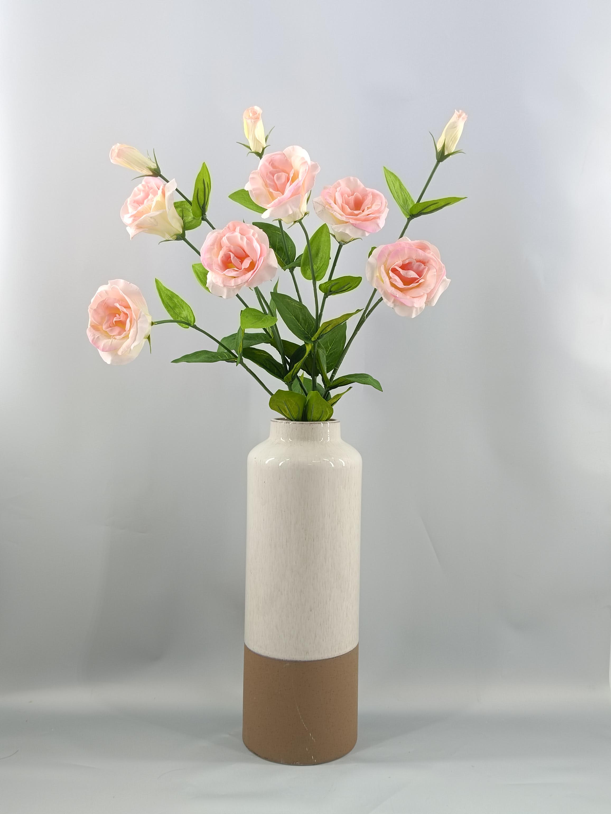 Hand feel Kikyo flower