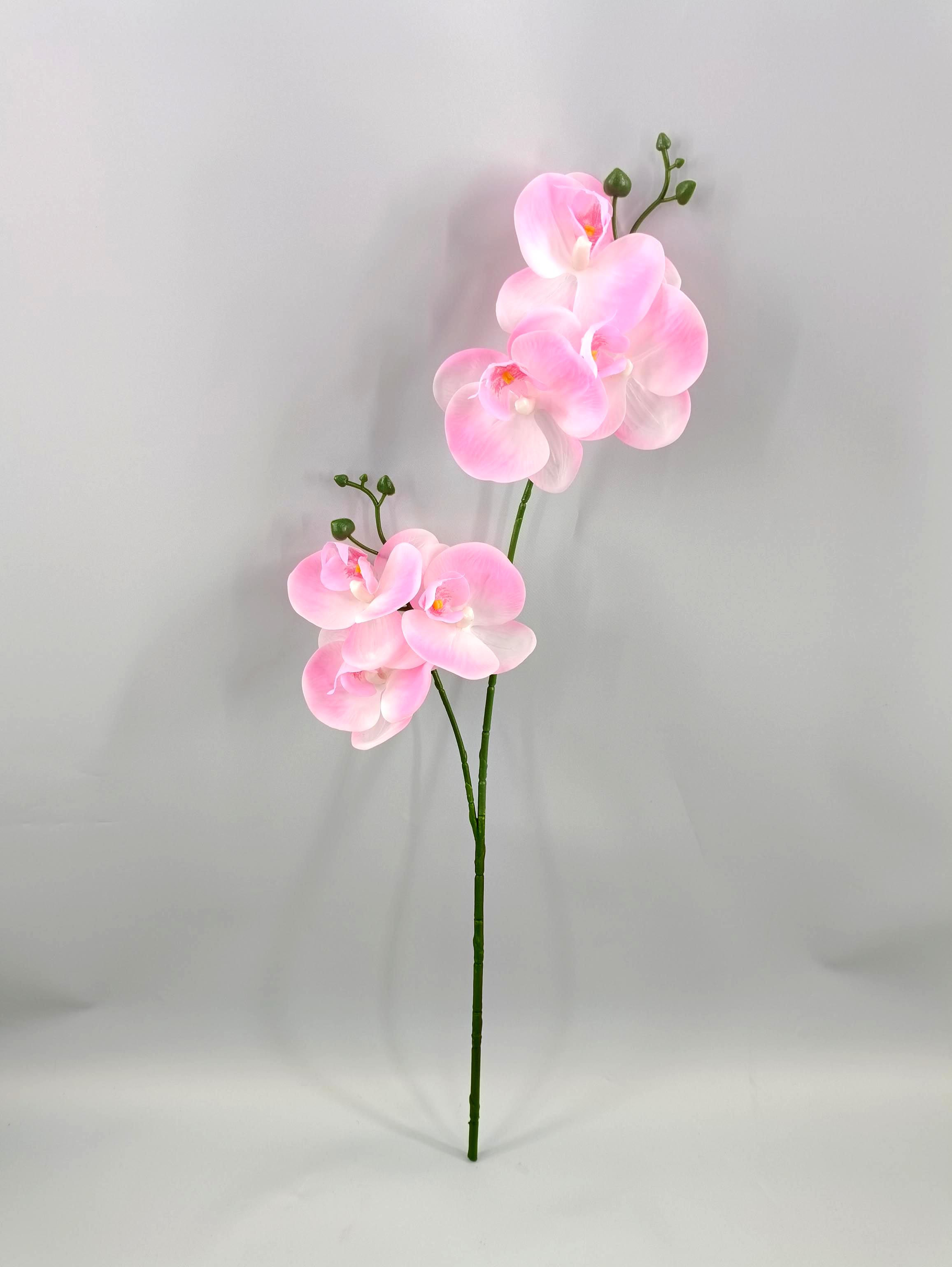 2-piece film butterfly orchid - simulated flower