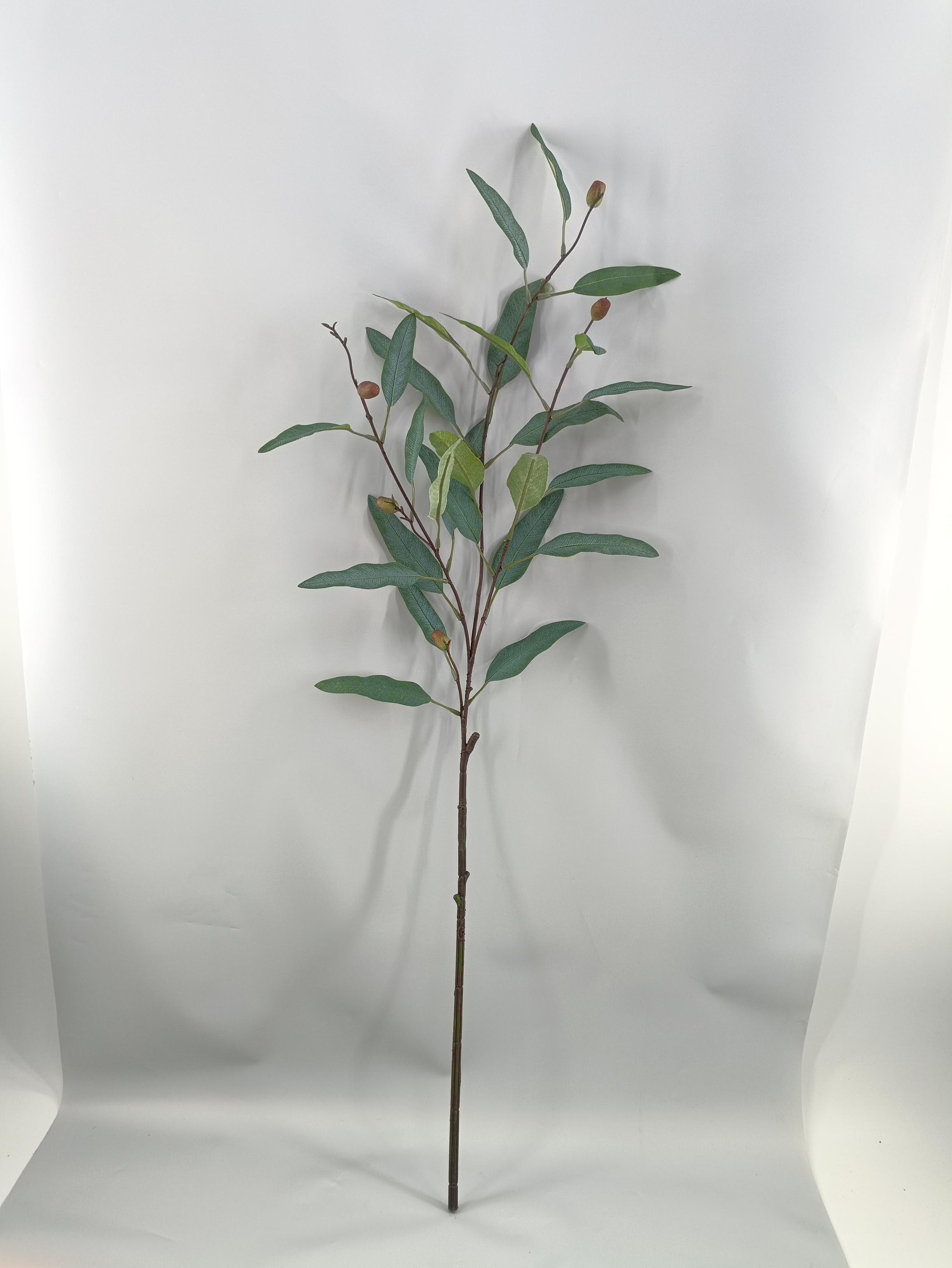 Eucalyptus Leaves - Simulated Tree