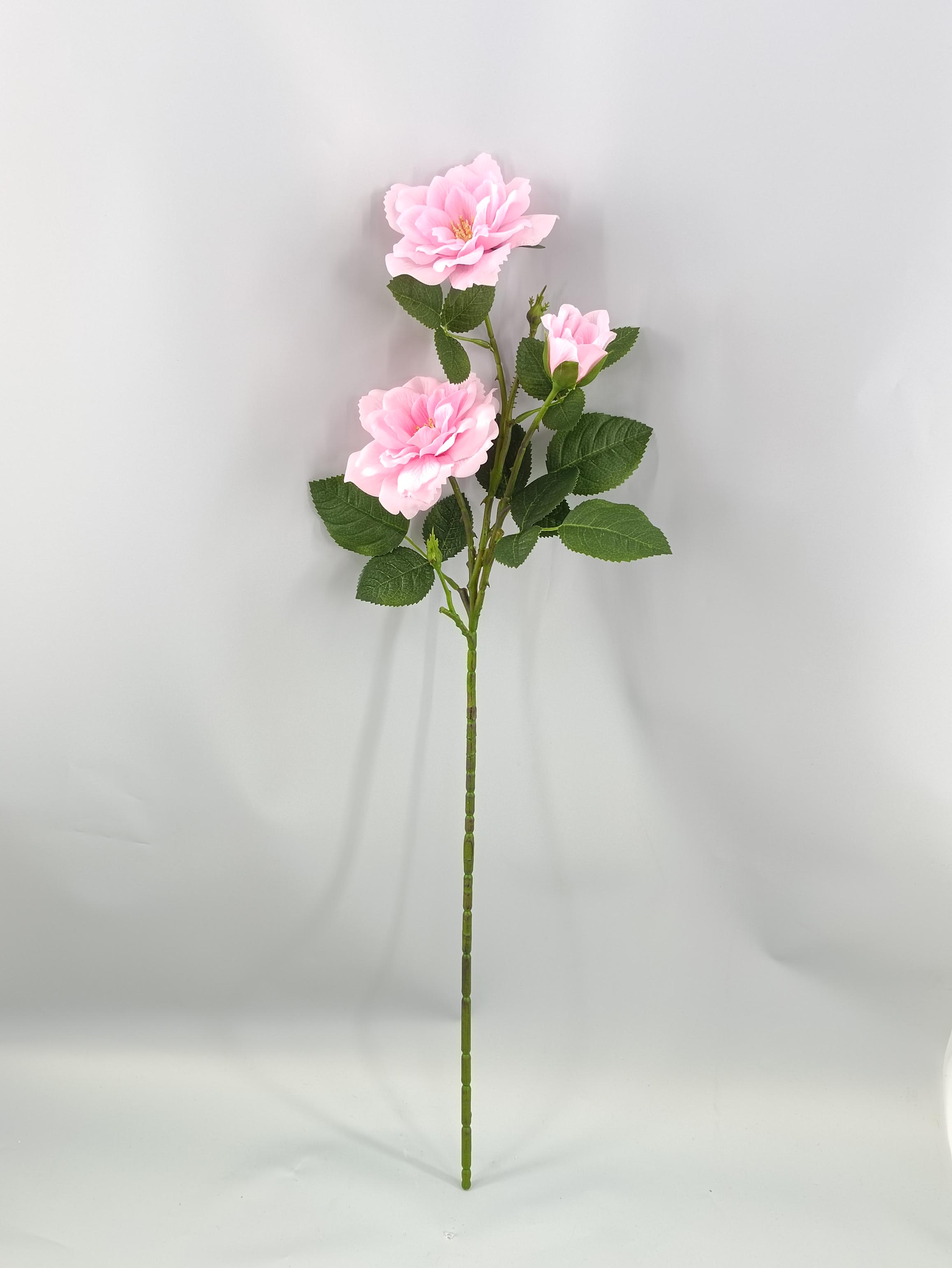 Feel the mountain tea flower-high imitation moisturizing feel