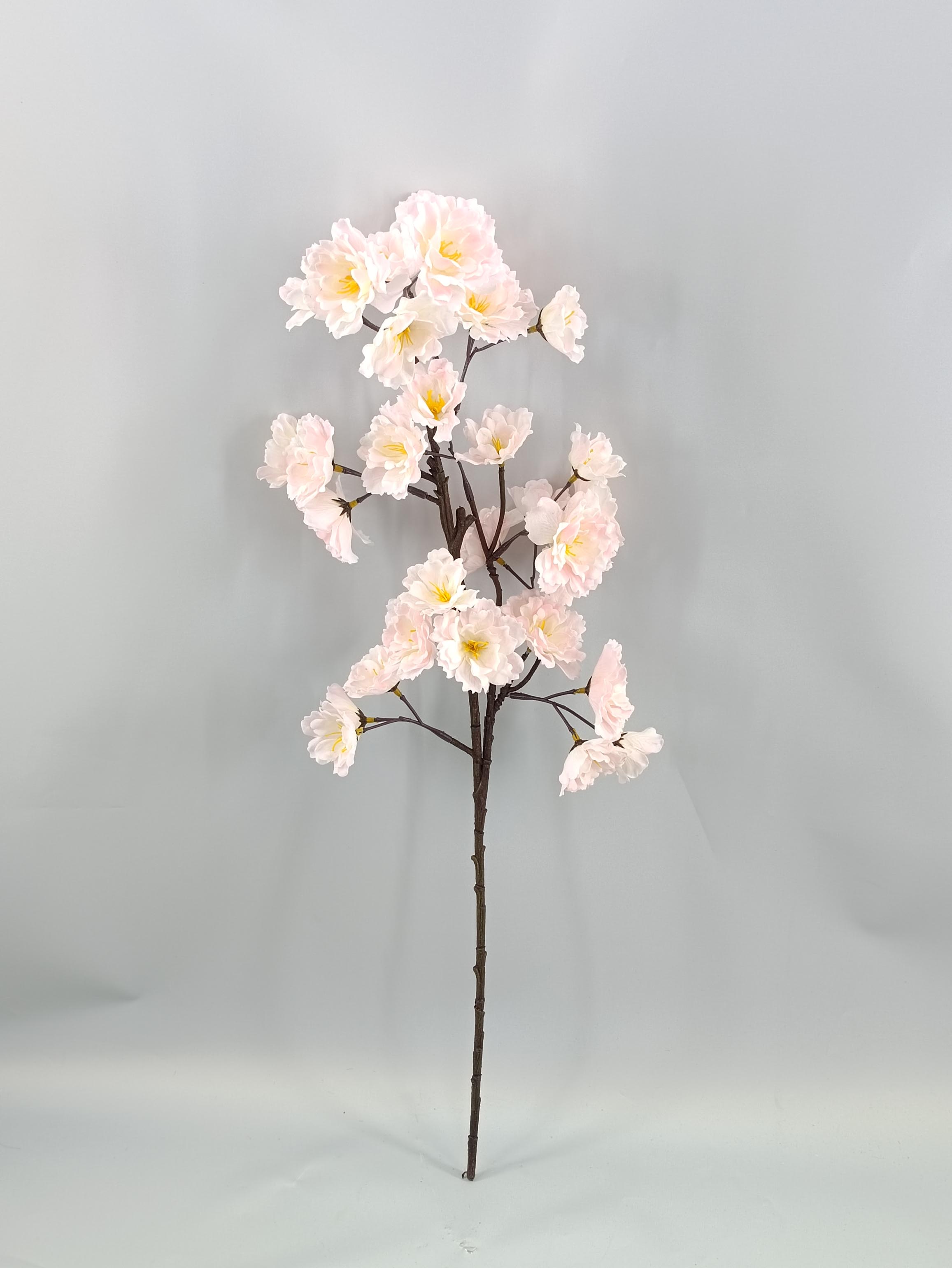 Feel the cherry blossom-simulated moisturizing feel
