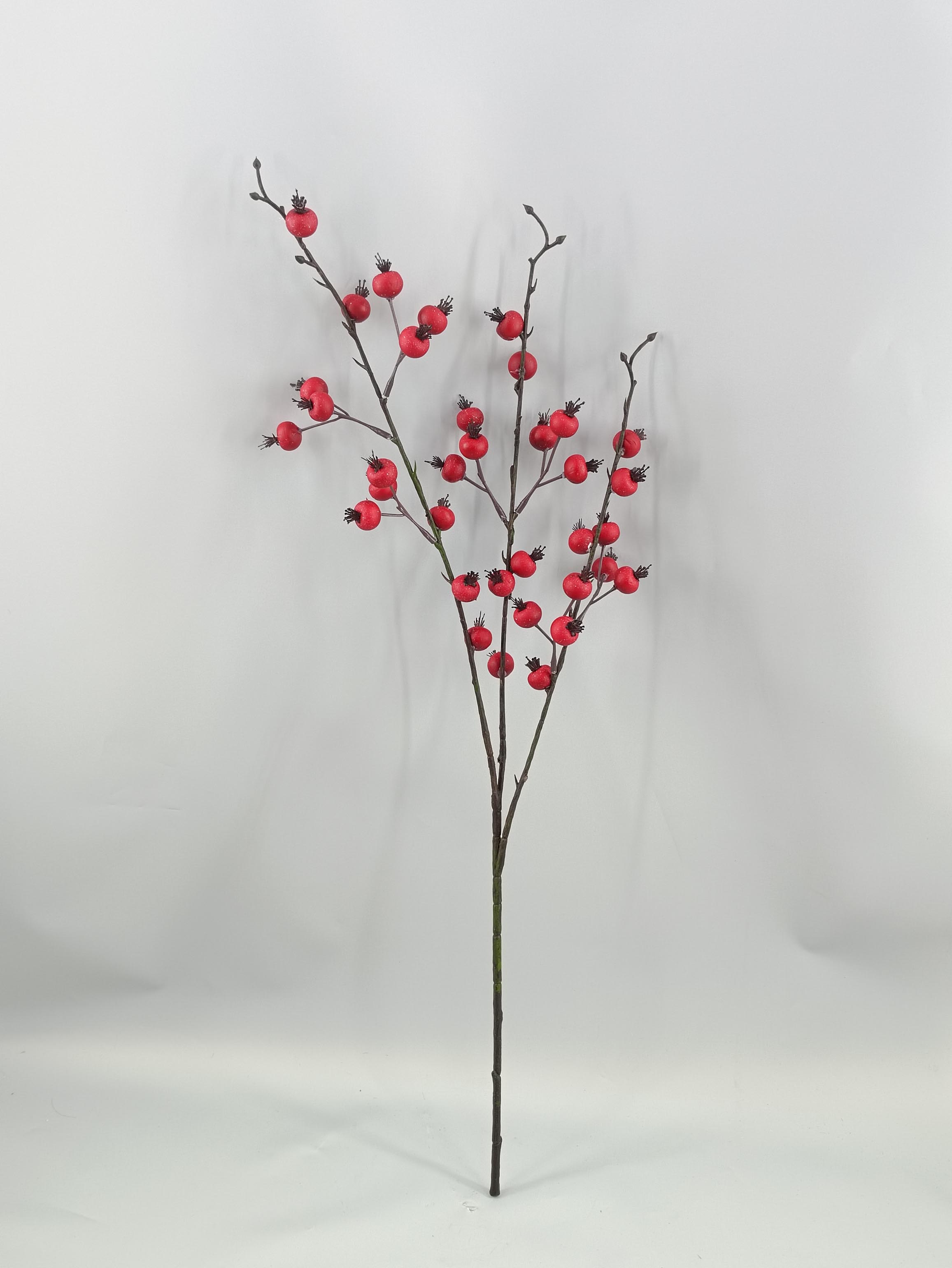 Hawthorn Tree - Simulated Tree