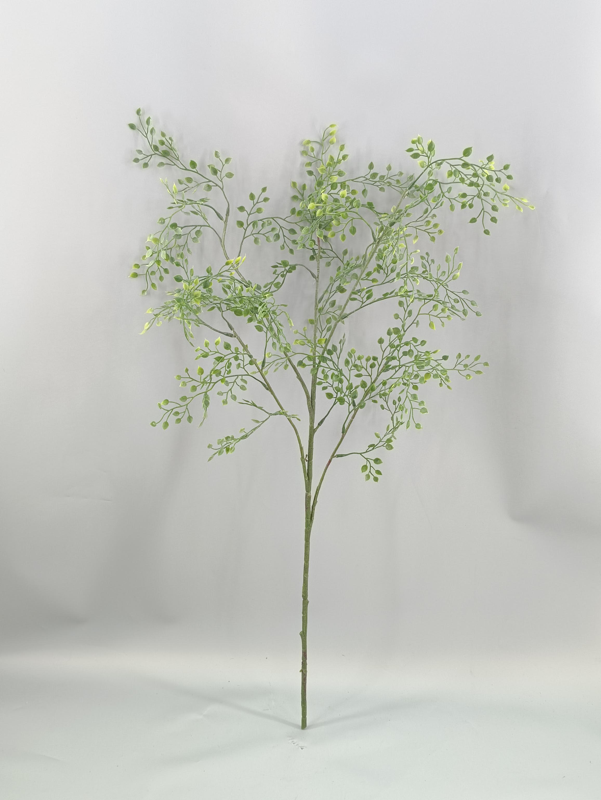 Sprinkle white grape leaves - simulated tree