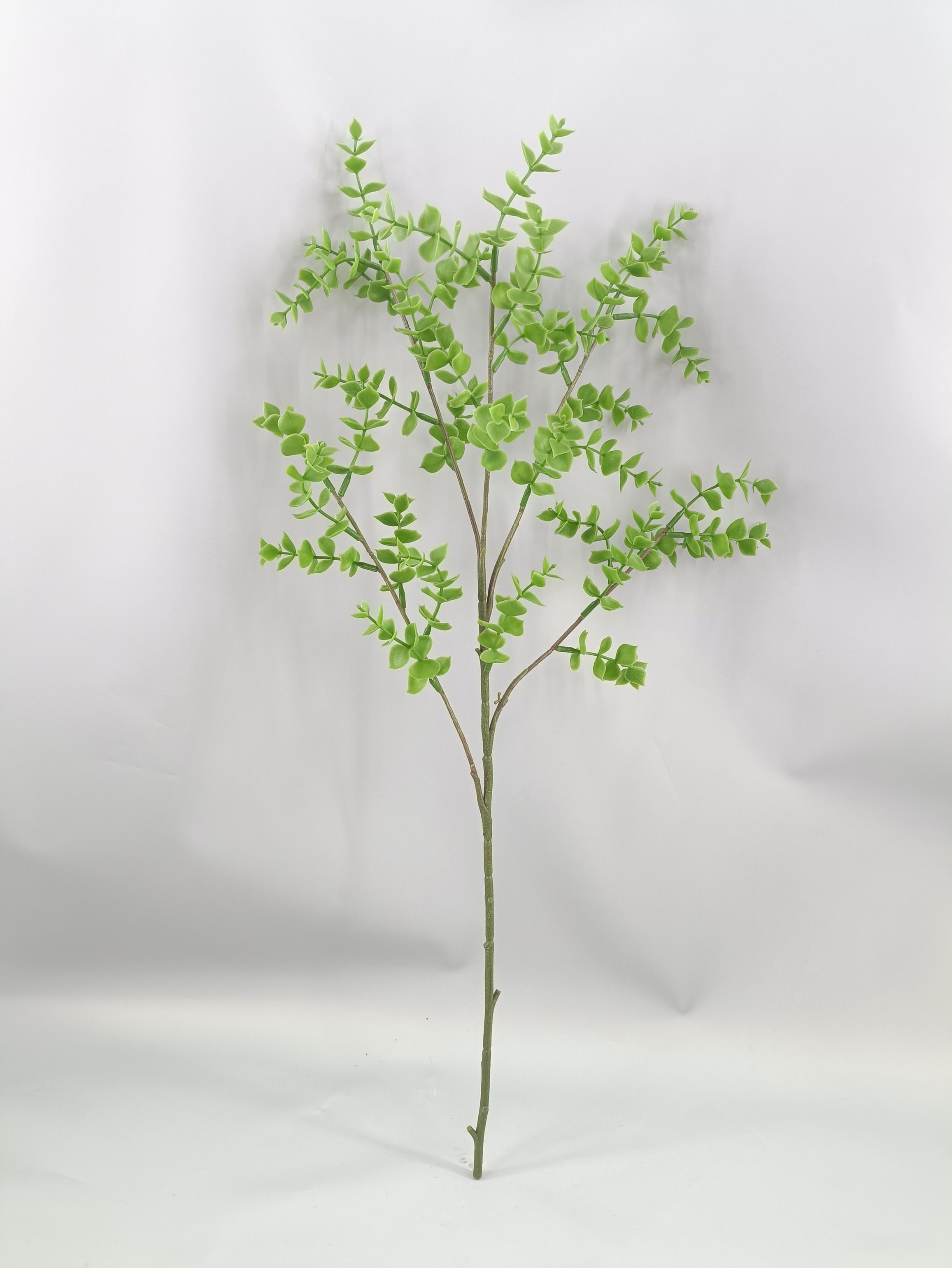 Single Fork Money Leaf - Simulation Tree