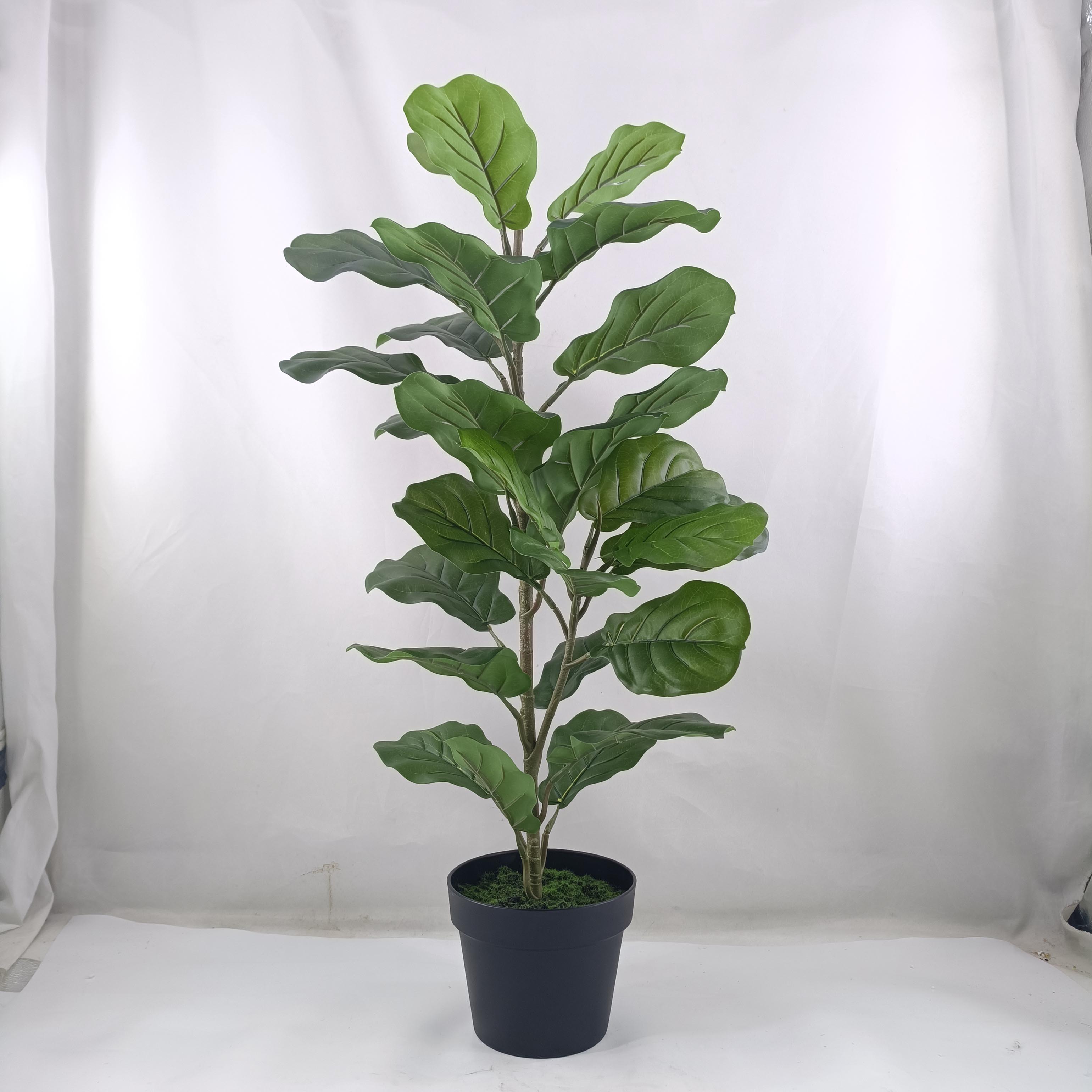Qinyerong potted home decoration