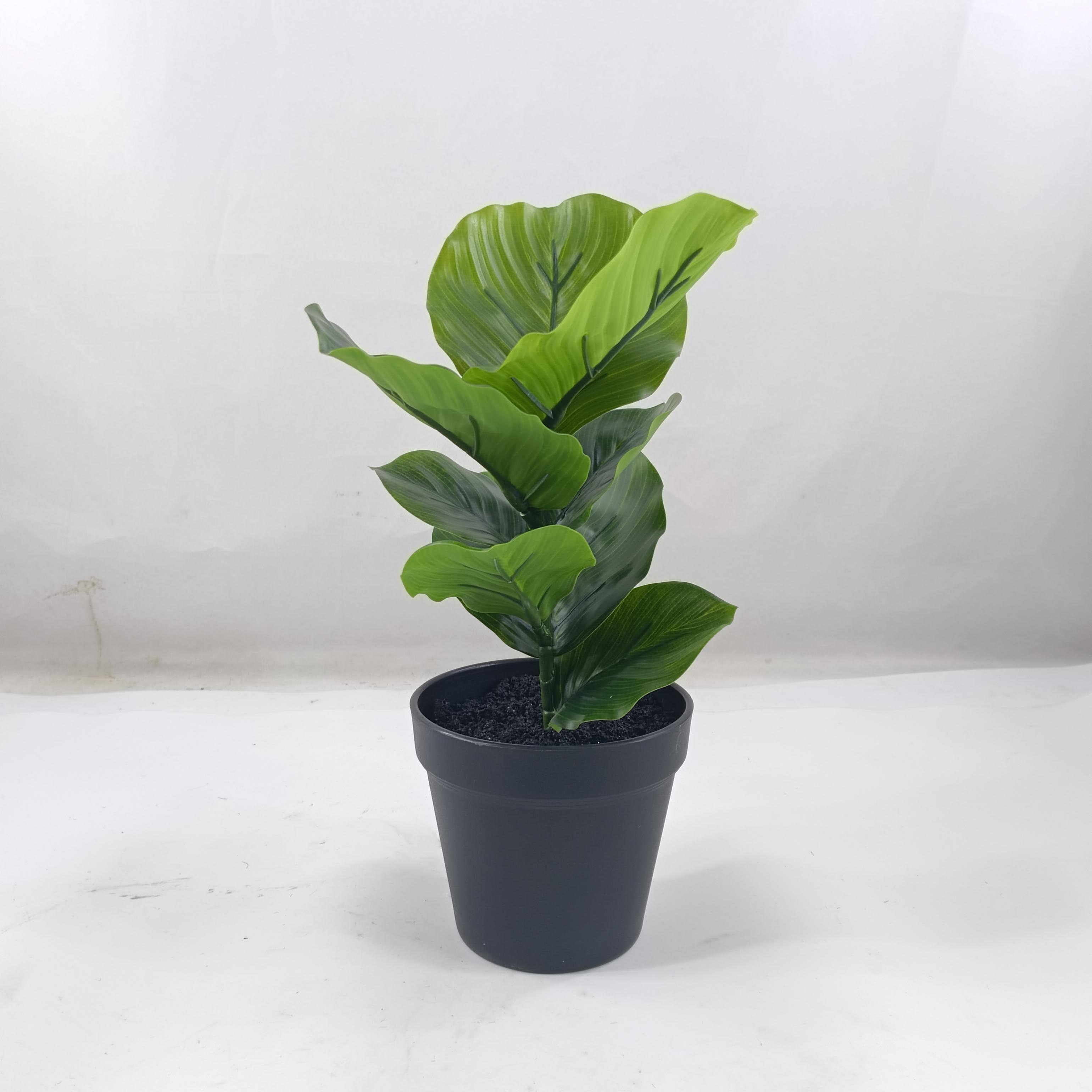 Zebra striped leaf simulation potted home decoration